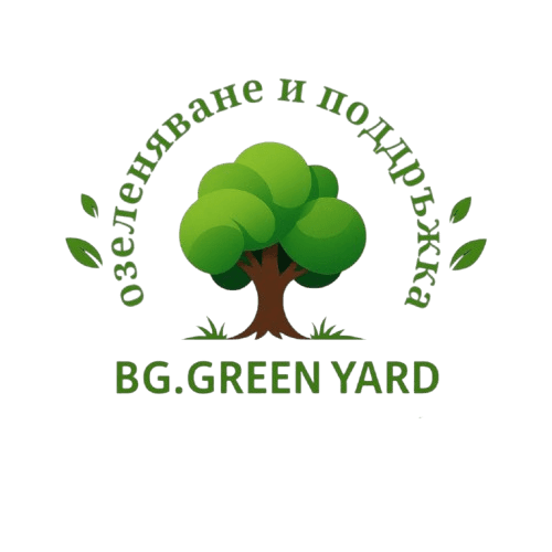 BG Green Yard